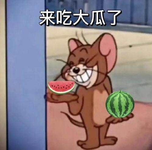 吃瓜大佬  第2张