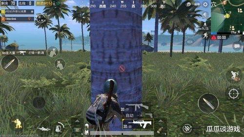 直播雨林吃瓜,揭秘热带雨林中的神秘“吃瓜”之旅