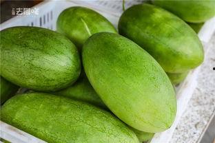 密塘瓜怎么吃,解锁夏日清新美味