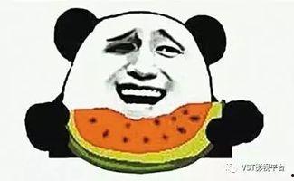 吃瓜群众小胖图,揭秘吃瓜群众的欢乐日常