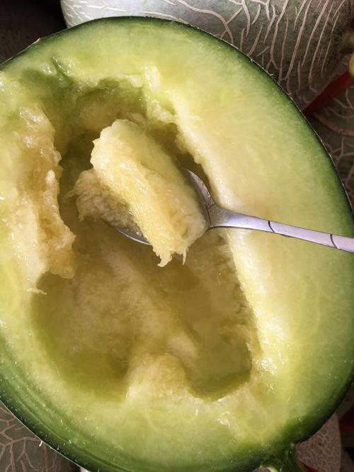 吃小胖瓜,探寻独特风味与美味佳肴