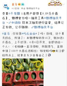 中奖吃瓜,中奖者的甜蜜吃瓜之旅