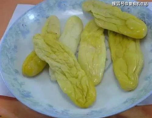 博白中学吃瓜  第2张