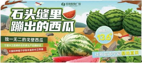 吃瓜比赛招募,吃瓜比赛火热招募，瓜王争霸等你来战！