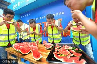 工地吃瓜比赛