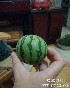 盐城最近吃瓜新闻,一场意想不到的社区风波