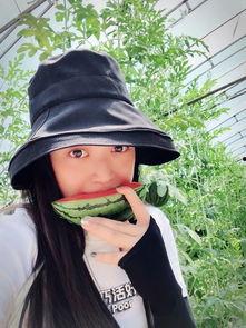 菜菜桶子姐吃瓜,揭秘娱乐圈幕后故事