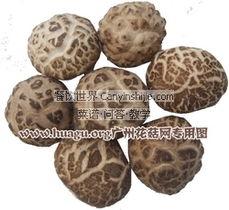 岩花吃瓜,揭秘娱乐圈背后的秘密与真相