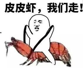 带你吃瓜南方pk北方,带你吃瓜南方PK北方美食之旅