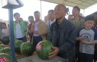 莱州吃瓜群众,吃瓜群众的欢乐时光