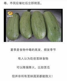 梦见走进瓜地吃瓜,瓜地寻味之旅