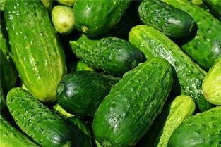 梦见走进瓜地吃瓜,瓜地寻味之旅