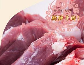 白银羊吃瓜,白银羊的瓜田奇遇记