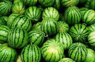 吃瓜群内容,网络舆论场中的热点追踪与趣味解读