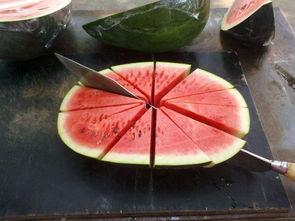 吃瓜少年1205,一场网络热议背后的真相