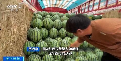 安婧吃瓜,揭秘娱乐圈幕后故事  第3张