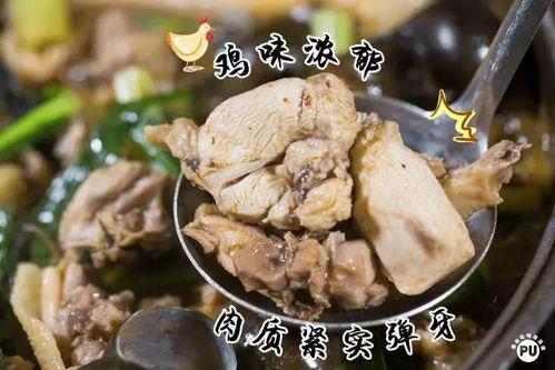 抓鹅吃大瓜,一场鹅与瓜的趣味邂逅