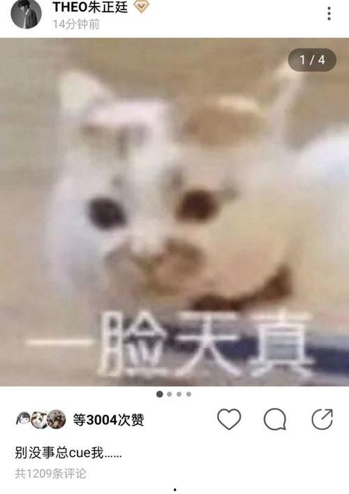 女人发吃瓜表情包,揭秘女性“吃瓜”表情包背后的社交心理