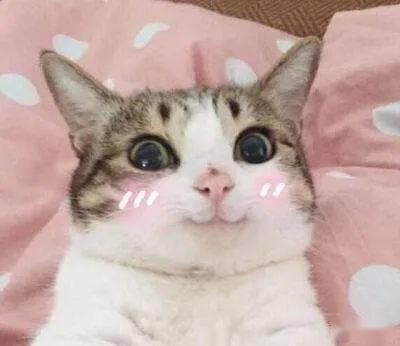 女人发吃瓜表情包,揭秘女性“吃瓜”表情包背后的社交心理