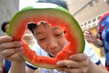 邯郸水城吃瓜事件  第3张