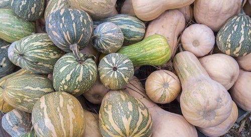 盐城金融女吃瓜,揭秘网络舆论背后的真相  第2张