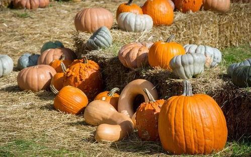 吃瓜群众加鸡腿,揭秘娱乐圈幕后故事