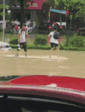 幽幽子吃瓜gif,揭秘网络红人的日常趣味瞬间